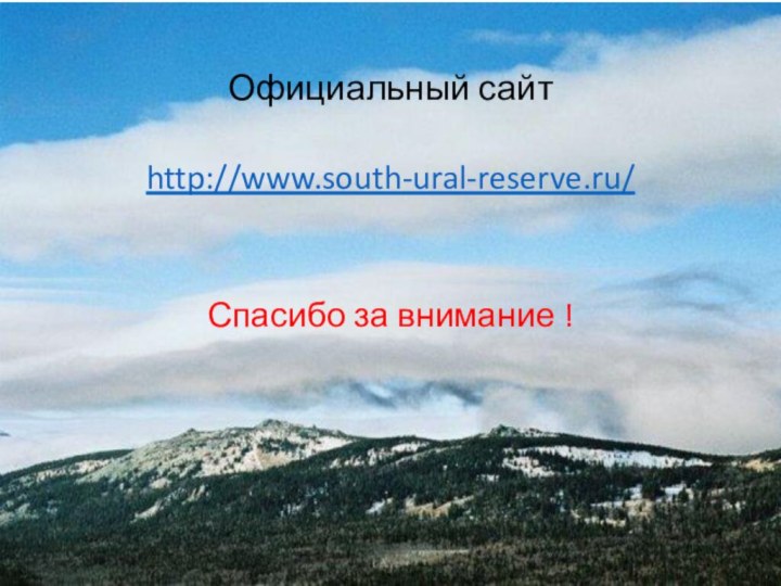 Официальный сайтhttp://www.south-ural-reserve.ru/Спасибо за внимание !