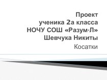 Презентация по окружающему миру Красная книга(2 класс)