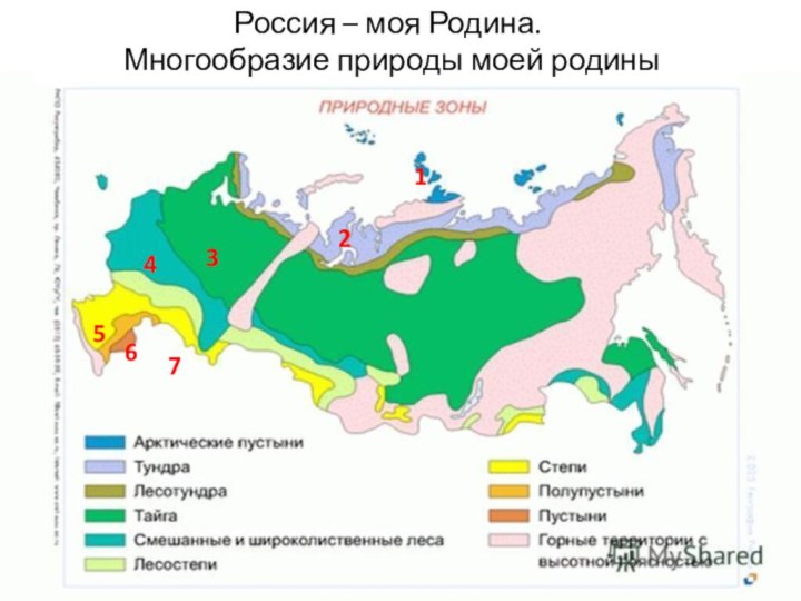 Россия – моя Родина. Многообразие природы моей родины1234567