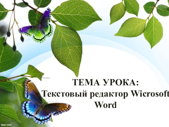 ТЕМА УРОКА:  Текстовый редактор Wicrosoft Word