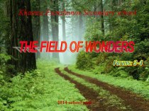 Презентация по английскому языку The Field of Wonders