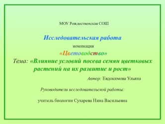 Презентация исследовательской работы Влияние условий посева семян цветковых растений на их развитие и рост