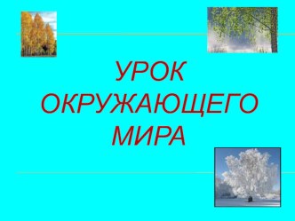 Презентация к уроку окружающий мир 2 класс