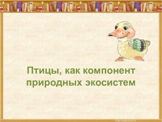 Презентация к занятию по экологии Птицы, как компонент природных экосистем