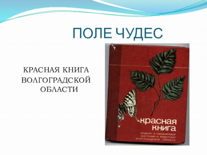 ПОЛЕ ЧУДЕСКРАСНАЯ КНИГА ВОЛГОГРАДСКОЙ ОБЛАСТИ