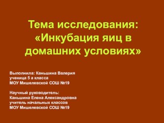 Тема исследования: Инкубация яиц в домашних условиях