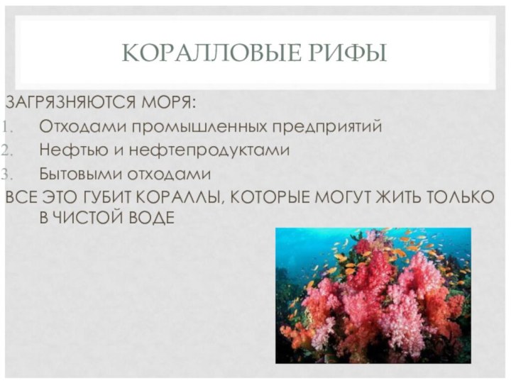 КОРАЛЛОВЫЕ РИФЫЗАГРЯЗНЯЮТСЯ МОРЯ:Отходами промышленных предприятийНефтью и нефтепродуктамиБытовыми отходамиВСЕ ЭТО ГУБИТ КОРАЛЛЫ, КОТОРЫЕ