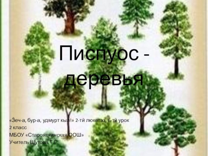 Писпуос - деревья«Ӟеч-а, бур-а, удмурт кыл!» 2-тӥ люкетэз, 6-тӥ урок2 классМБОУ «Староятчинская ООШ»Учитель Шутова Т.Г.