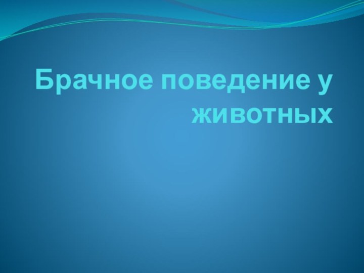 Брачное поведение у животных