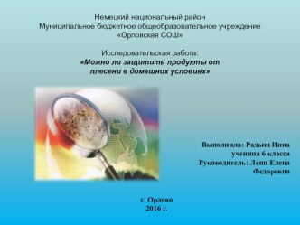 Презентация. Исследовательская работаМожно ли защитить продукты от плесени в домашних условиях  