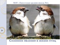 Презентация по теме Сезонные явления в жизни птиц