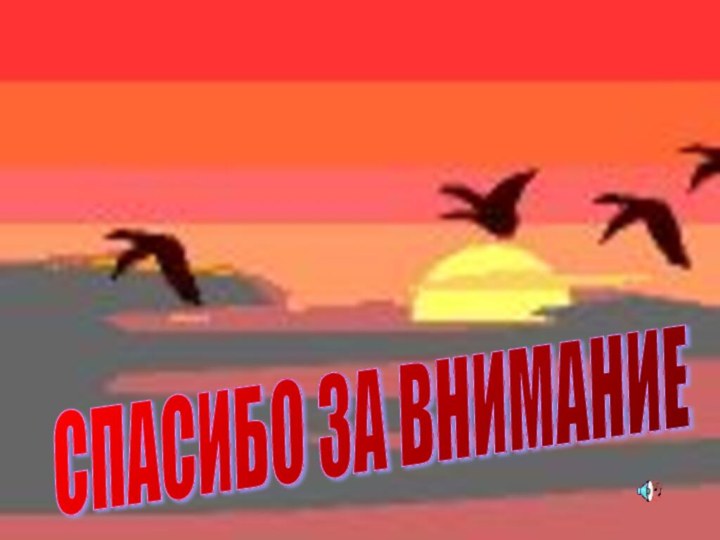 СПАСИБО ЗА ВНИМАНИЕ