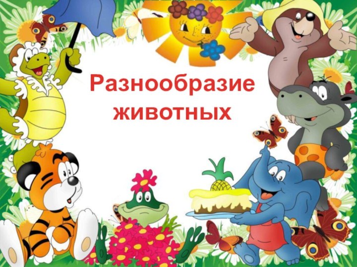 Разнообразие животных