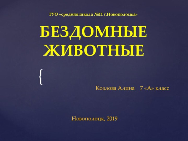 ГУО «средняя школа №11 г.Новополоцка»  БЕЗДОМНЫЕ ЖИВОТНЫЕКозлова Алина  7 «А» классНовополоцк, 2019