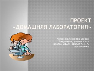 Презентация проектной работы Домашняя лаборатория