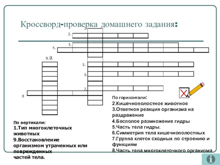 Кроссворд-проверка домашнего задания:1.2.3.4.5.6.7.9.8По вертикали:1.Тип многоклеточных животных9.Восстановление организмом утраченных или поврежденных частей тела.По