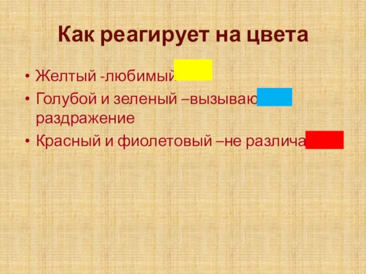 Как реагирует на цветаЖелтый -любимыйГолубой и зеленый –вызывают раздражениеКрасный и фиолетовый –не различает