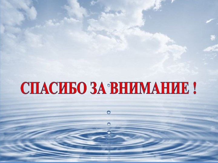 СПАСИБО ЗА ВНИМАНИЕ !