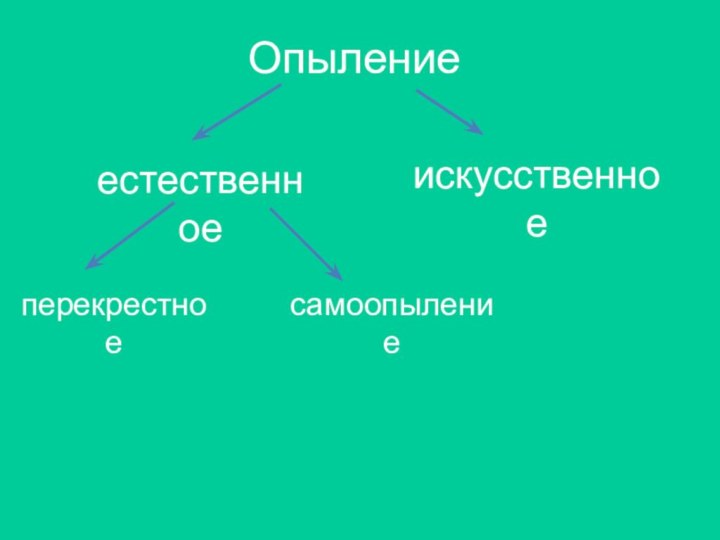 Опылениеестественноеискусственноеперекрестноесамоопыление