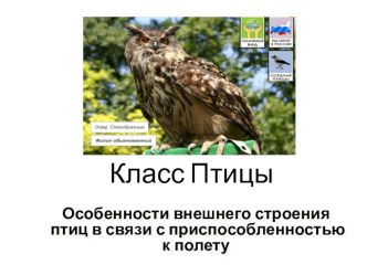 Презентация по биологии Особенности внешнего строения птиц в связи с приспособленностью к полету