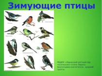 Презентация по окружающему миру в ДОУ Зимующие птицы