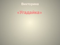 Викторина Угадайка 9 класс по информатике