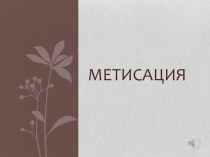 Презентация по географии на тему Метисация. Южная Америка (7 класс)