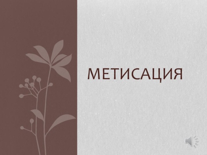 Метисация