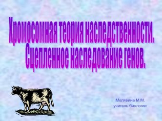 Хромосомная теория наследственности. Сцепленное с полом наследование.