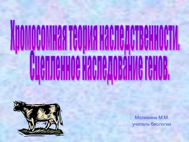 Хромосомная теория наследственности. Сцепленное наследование генов.    Молявина М.М.   учитель биологии