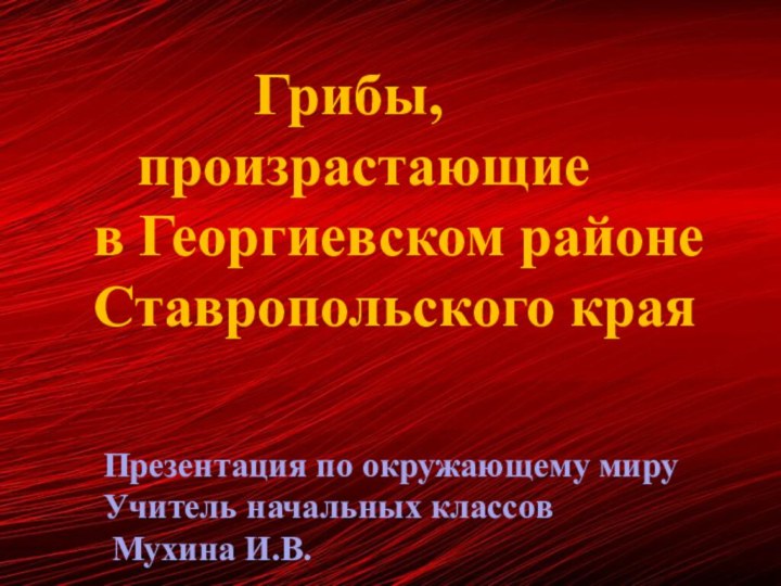 Грибы,  произрастающие в Георгиевском районе