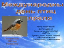 Презентация 1 апреля Международный день птиц