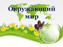 Презентация к окружающему миру на тему Экологическая безопасность 3 класс