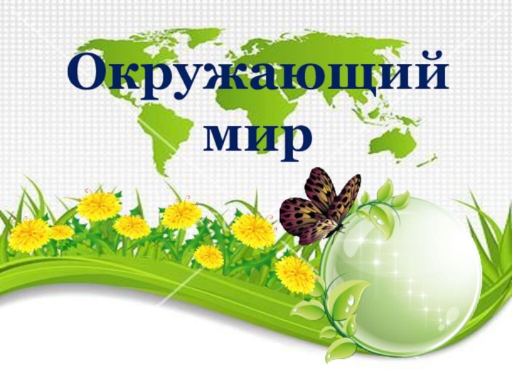 Окружающий мир