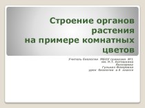 Презентация к уроку по ботанике на тему  Строение органов растения