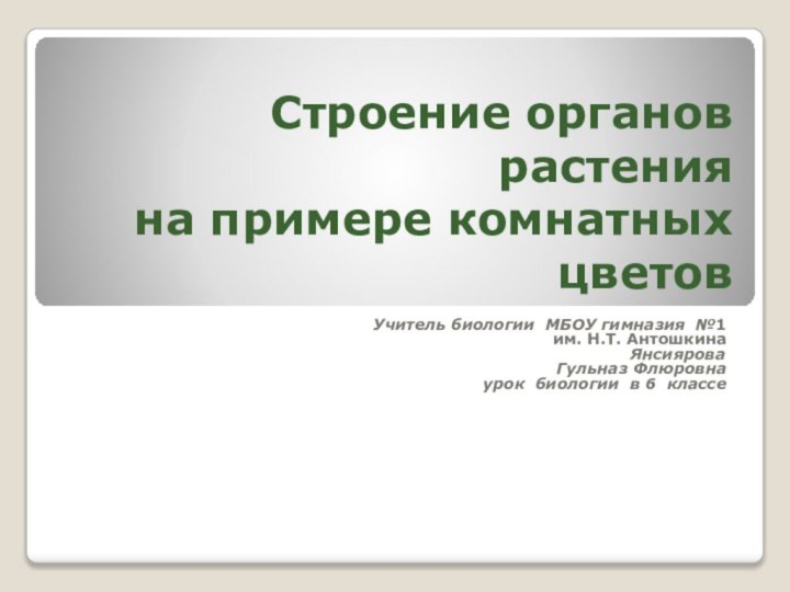 Строение органов растения  на примере комнатных цветовУчитель биологии  МБОУ гимназия №1