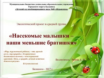 Презентация экологического проекта на тему Насекомые малышки - наши меньшие братишки для детей средней группы