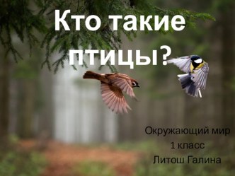 Презентация по окружающему миру на тему Кто такие птицы? (1 класс)