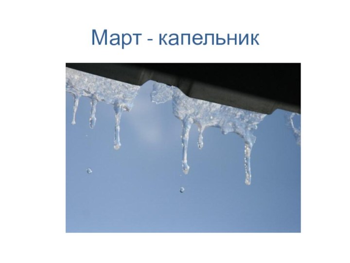 Март - капельник