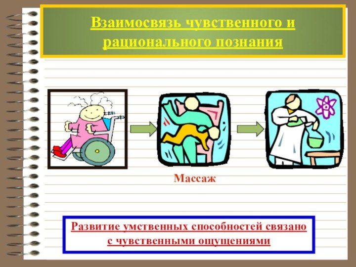 Взаимосвязь чувственного и рационального познанияРазвитие умственных способностей связано с чувственными ощущениями