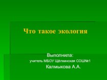 Презентация по Окружающему миру Что такое экология? (3 класс)