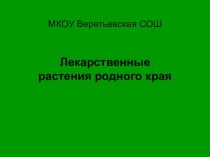 Презентация по краеведению на тему: Лекарственные растения моего края