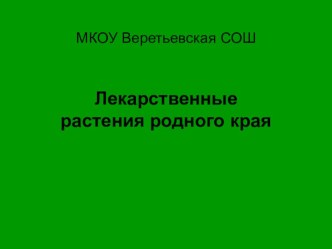 Презентация по краеведению на тему: Лекарственные растения моего края