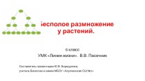 Презентация по биологии на тему Бесполое размножение у растений.