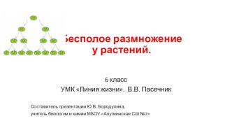 Презентация по биологии на тему Бесполое размножение у растений.