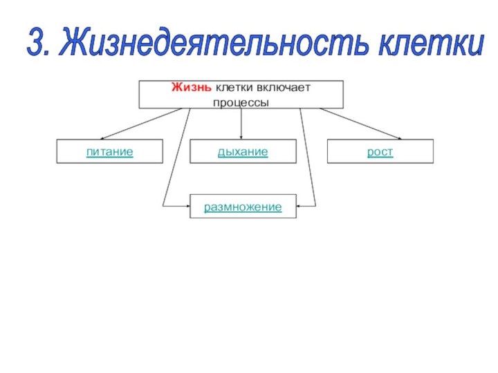 3. Жизнедеятельность клетки Жизнь клетки включает процессыпитаниеразмножениедыханиерост