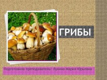 Презентация по дисциплине Товароведение пищевых продуктов на тему Классификация грибов