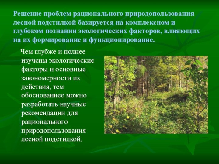 Решение проблем рационального природопользования лесной подстилкой базируется на комплексном и глубоком познании