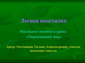 Презентация по окружающему миру на тему Лесная подстилка