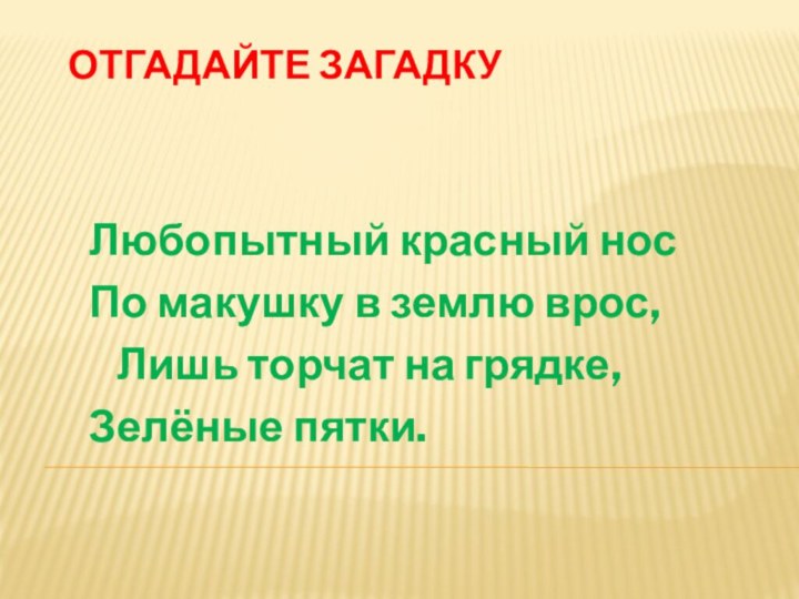 Отгадайте загадкуЛюбопытный красный носПо макушку в землю врос,  Лишь торчат на грядке, Зелёные пятки.